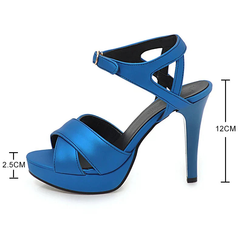 Brand Elegant sandals Women High Heels Pumps Super high heel 12cm Women's Banquet sandals waterproof platform toe sandals 31-46